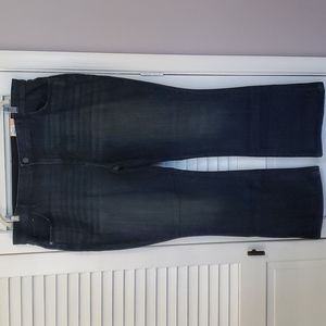 EVRI Jeans, NWT, Size 24W, Bootcut